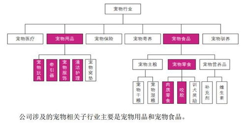 ipo定價(jià)13.71元,寵物用品和食品生產(chǎn)商,源飛寵物申購(gòu)解讀